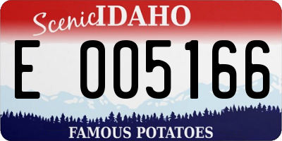 ID license plate E005166