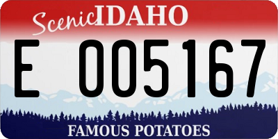 ID license plate E005167