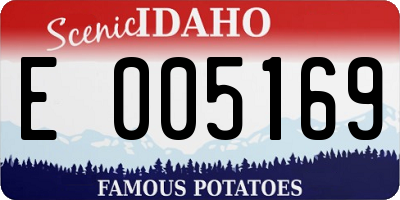 ID license plate E005169