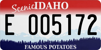 ID license plate E005172