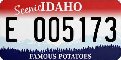 ID license plate E005173