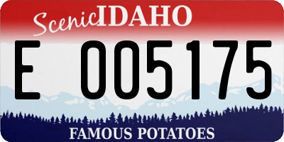 ID license plate E005175