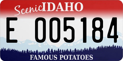 ID license plate E005184