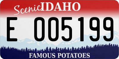 ID license plate E005199