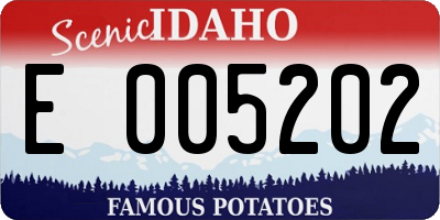 ID license plate E005202