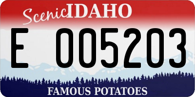 ID license plate E005203