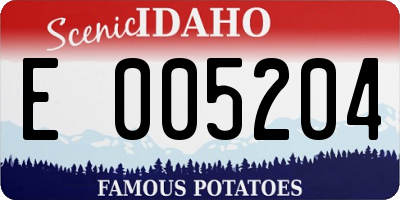 ID license plate E005204