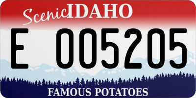 ID license plate E005205