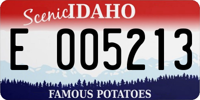 ID license plate E005213