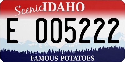 ID license plate E005222