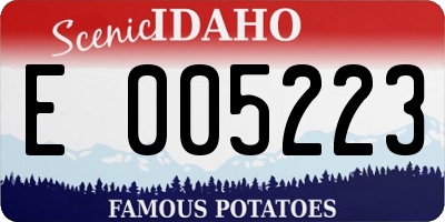 ID license plate E005223