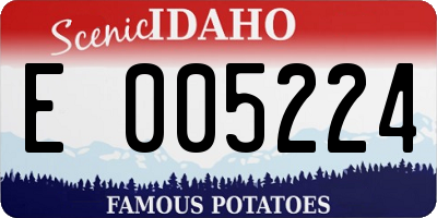 ID license plate E005224