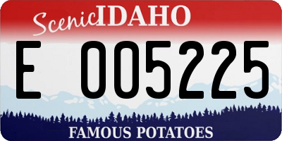 ID license plate E005225