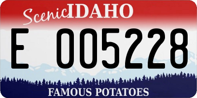 ID license plate E005228