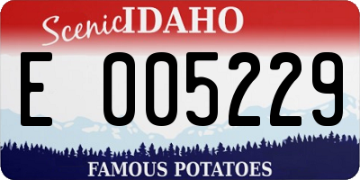 ID license plate E005229