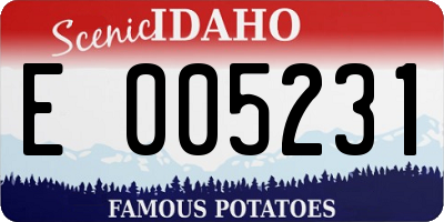 ID license plate E005231