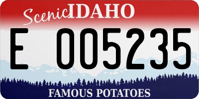 ID license plate E005235