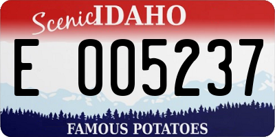 ID license plate E005237