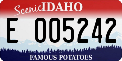 ID license plate E005242