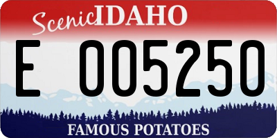 ID license plate E005250