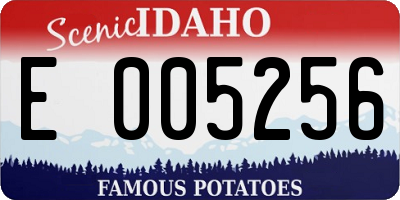 ID license plate E005256