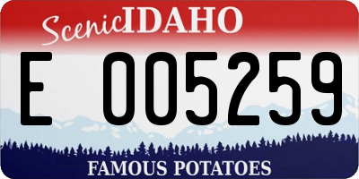 ID license plate E005259