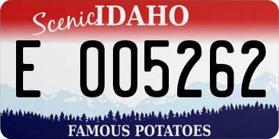 ID license plate E005262