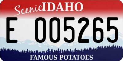 ID license plate E005265
