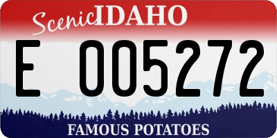 ID license plate E005272