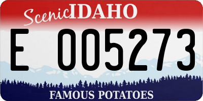 ID license plate E005273
