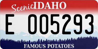 ID license plate E005293