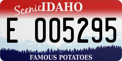 ID license plate E005295