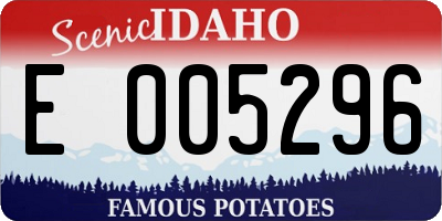 ID license plate E005296