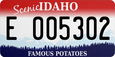 ID license plate E005302