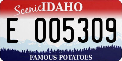 ID license plate E005309