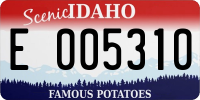 ID license plate E005310