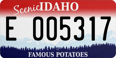 ID license plate E005317