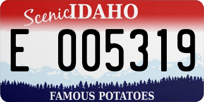 ID license plate E005319