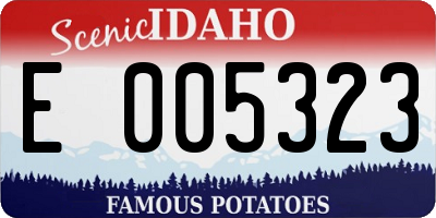 ID license plate E005323