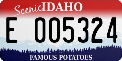 ID license plate E005324