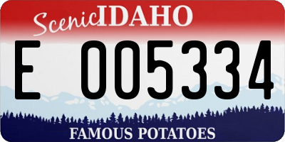 ID license plate E005334