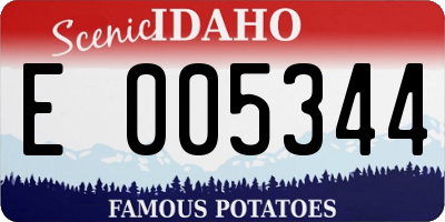 ID license plate E005344