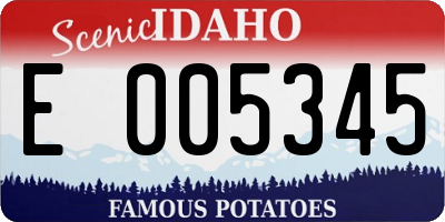 ID license plate E005345