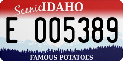 ID license plate E005389