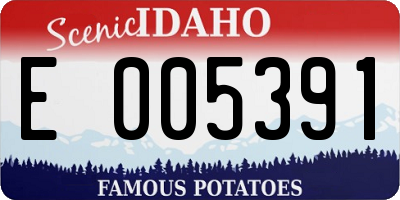 ID license plate E005391