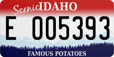 ID license plate E005393