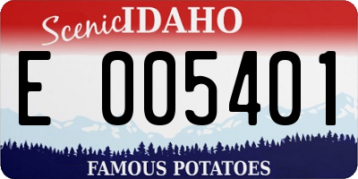 ID license plate E005401