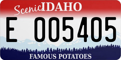 ID license plate E005405