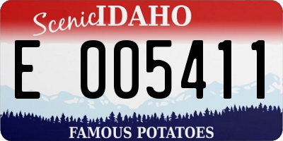 ID license plate E005411