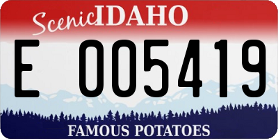 ID license plate E005419